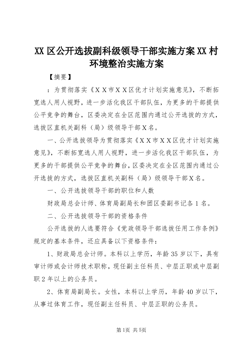 XX区公开选拔副科级领导干部实施方案XX村环境整治实施方案