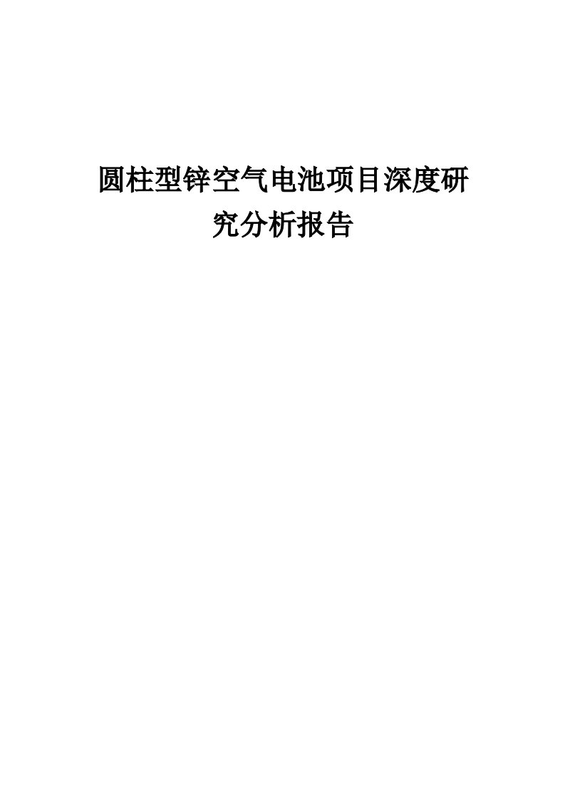 2024年圆柱型锌空气电池项目深度研究分析报告