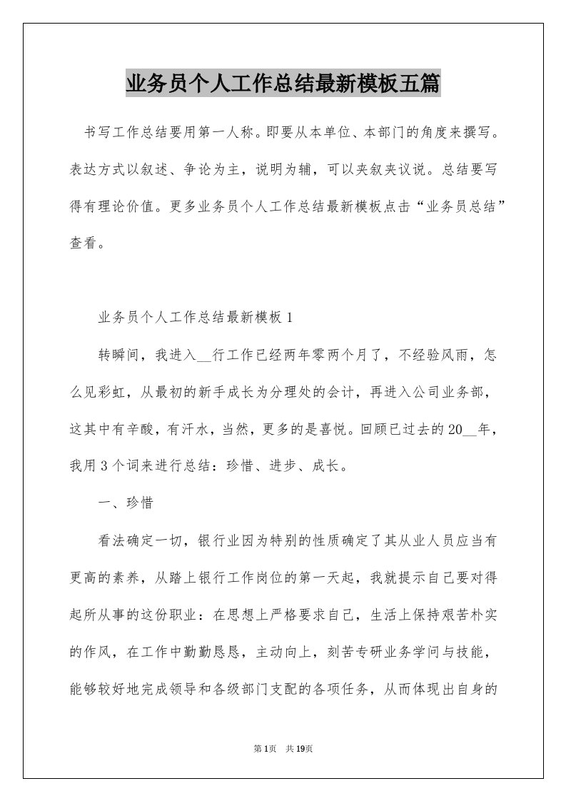 业务员个人工作总结最新模板五篇