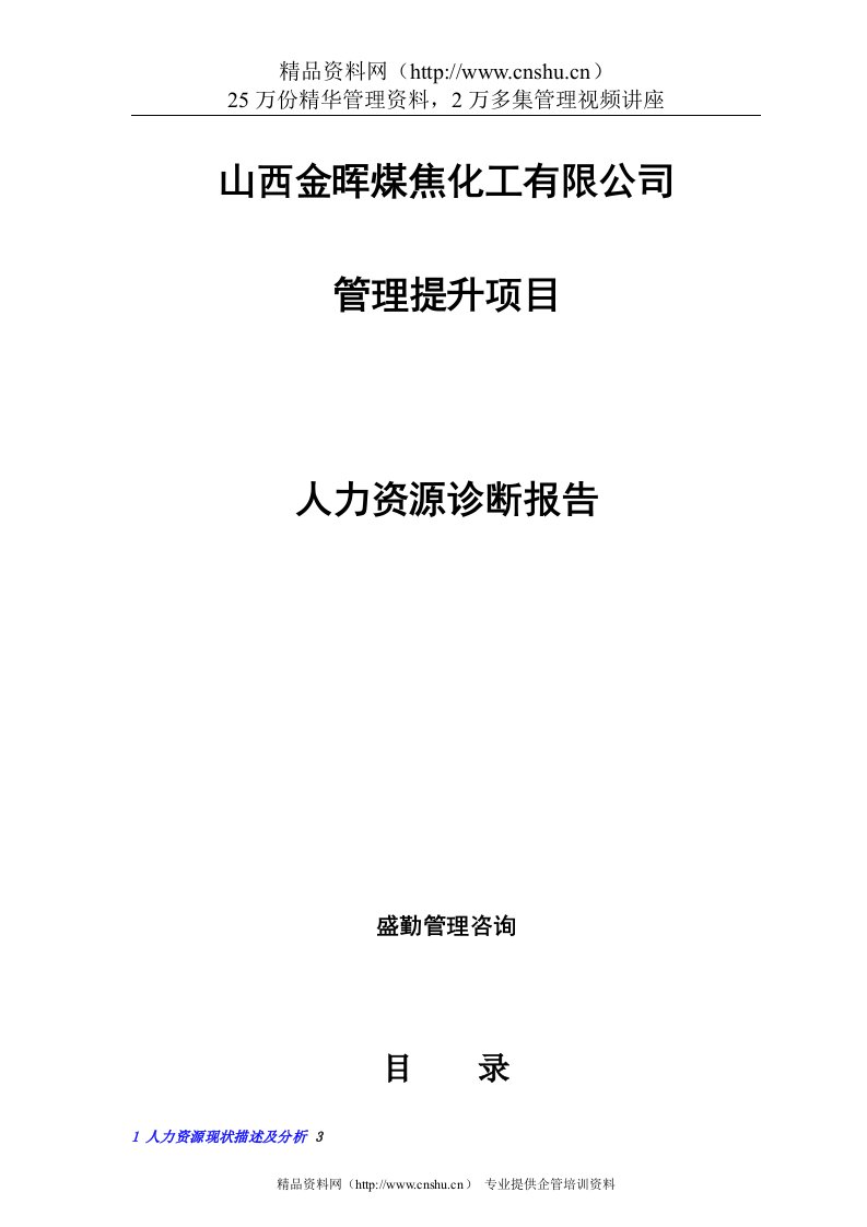 山西金晖煤焦化工公司人力资源诊断报告