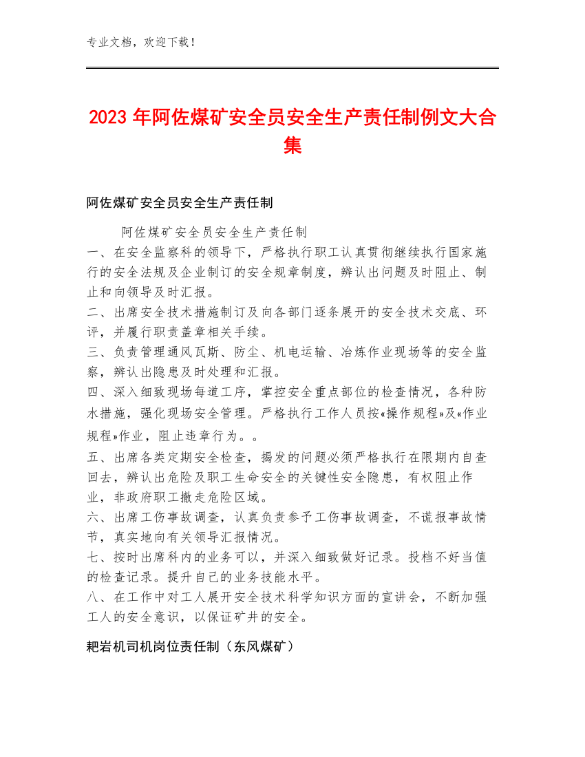 2023年阿佐煤矿安全员安全生产责任制例文大合集