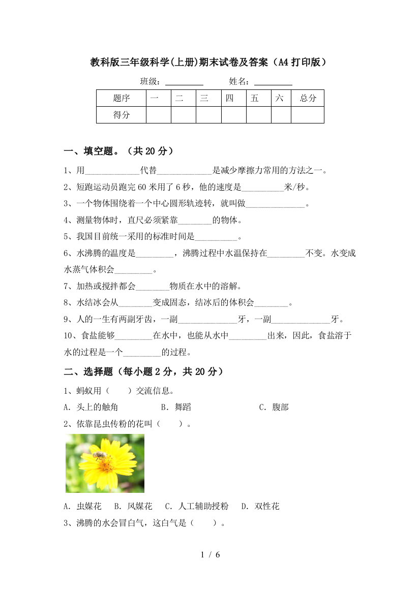 教科版三年级科学(上册)期末试卷及答案(A4打印版)