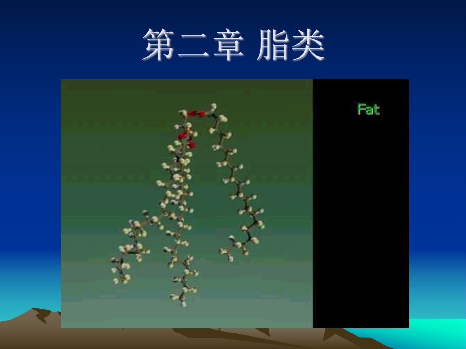 华南理工大学生物化学第2章脂类