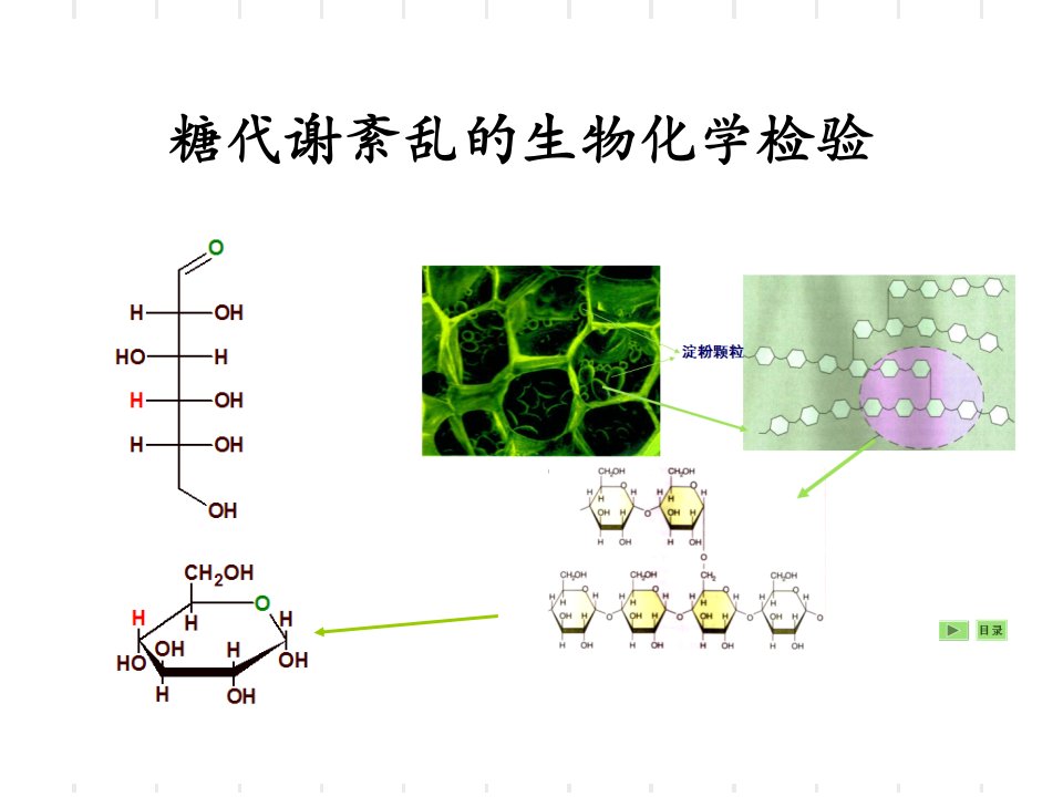 糖代谢紊乱的生物化学检验PPT课件