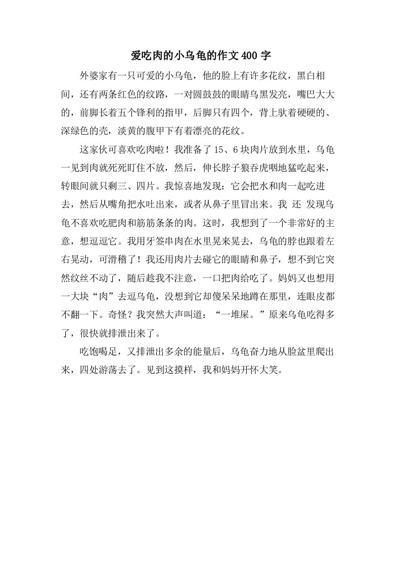 爱吃肉的小乌龟的作文400字