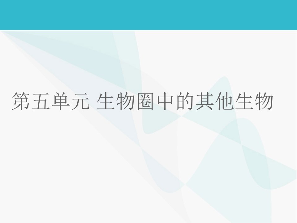 中考人教版生物第五单元+生物圈中的其他生物复习课件(共张ppt)