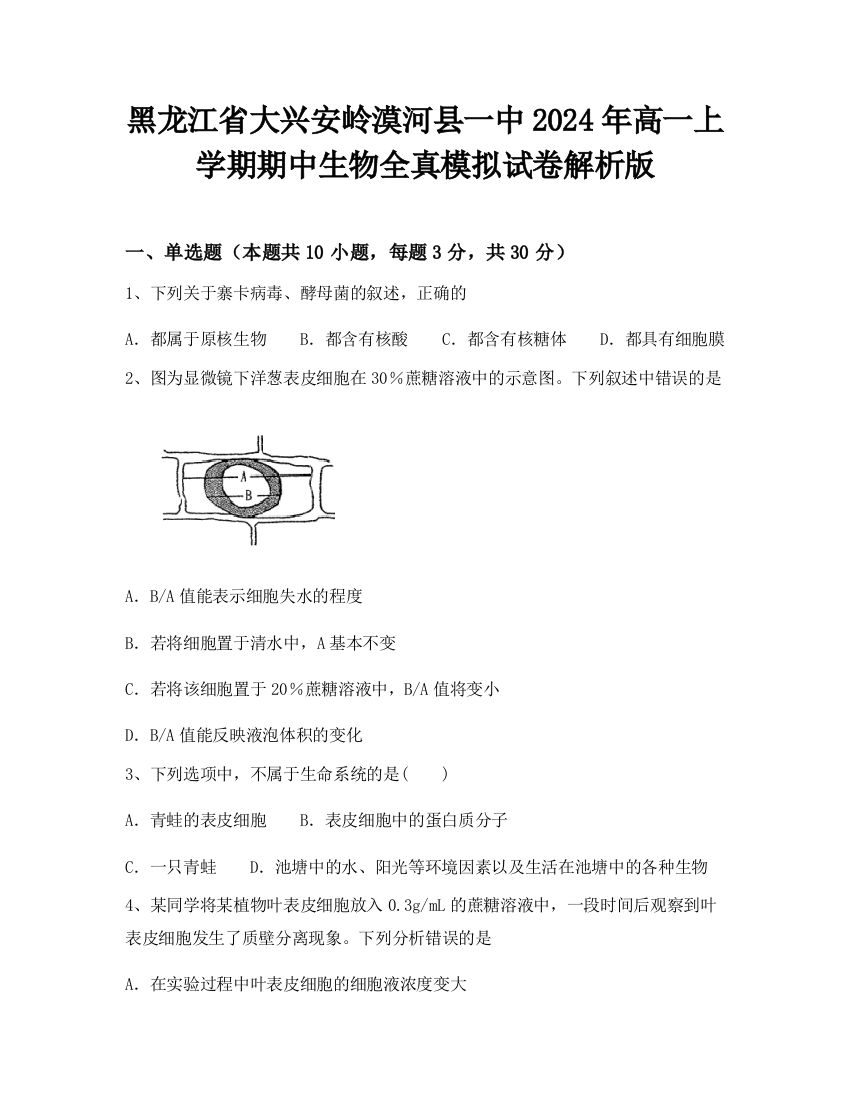 黑龙江省大兴安岭漠河县一中2024年高一上学期期中生物全真模拟试卷解析版