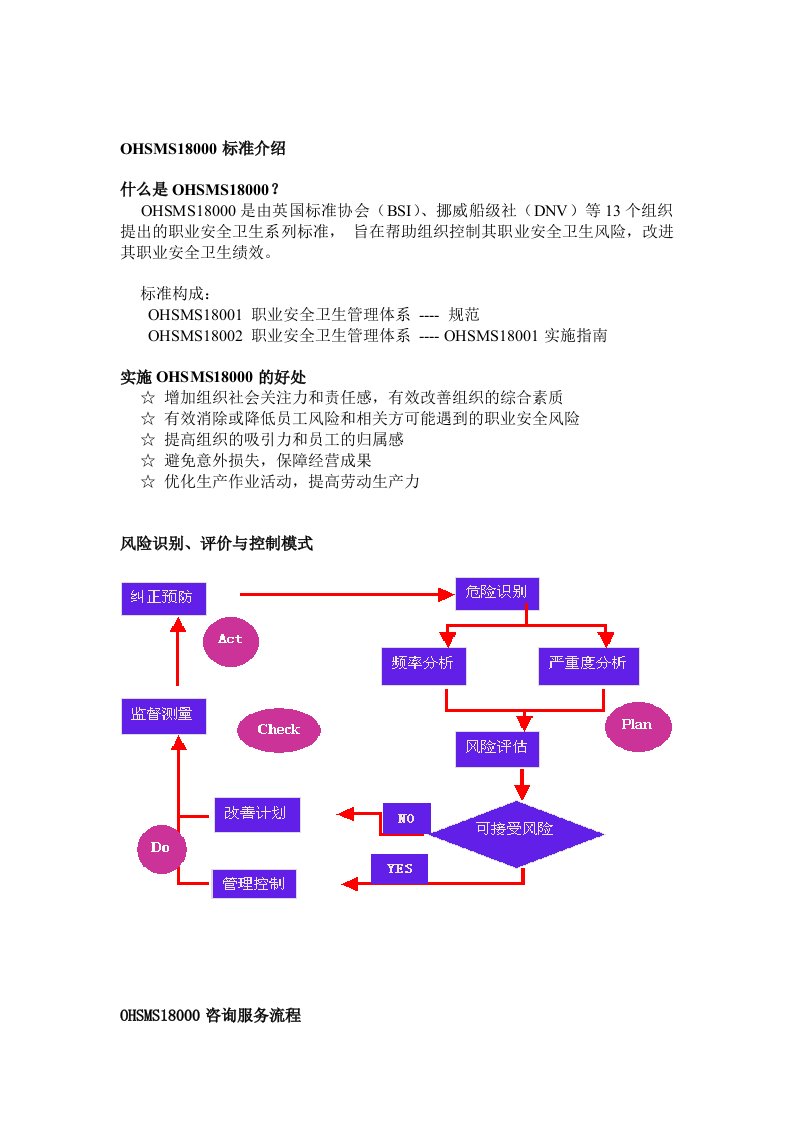 OHSMS18000全过程咨询流程DOC28(1)