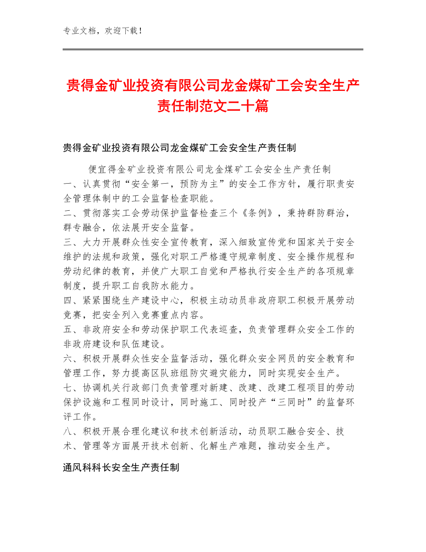 贵得金矿业投资有限公司龙金煤矿工会安全生产责任制范文二十篇