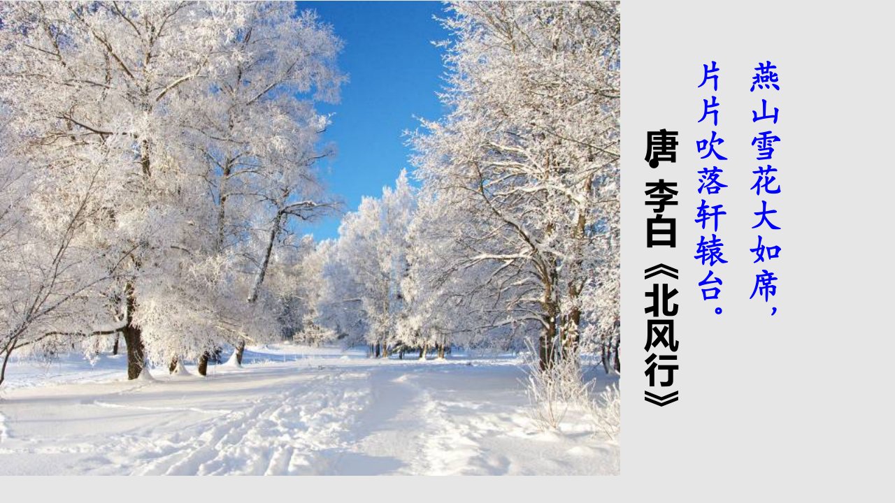 沁园春雪学习