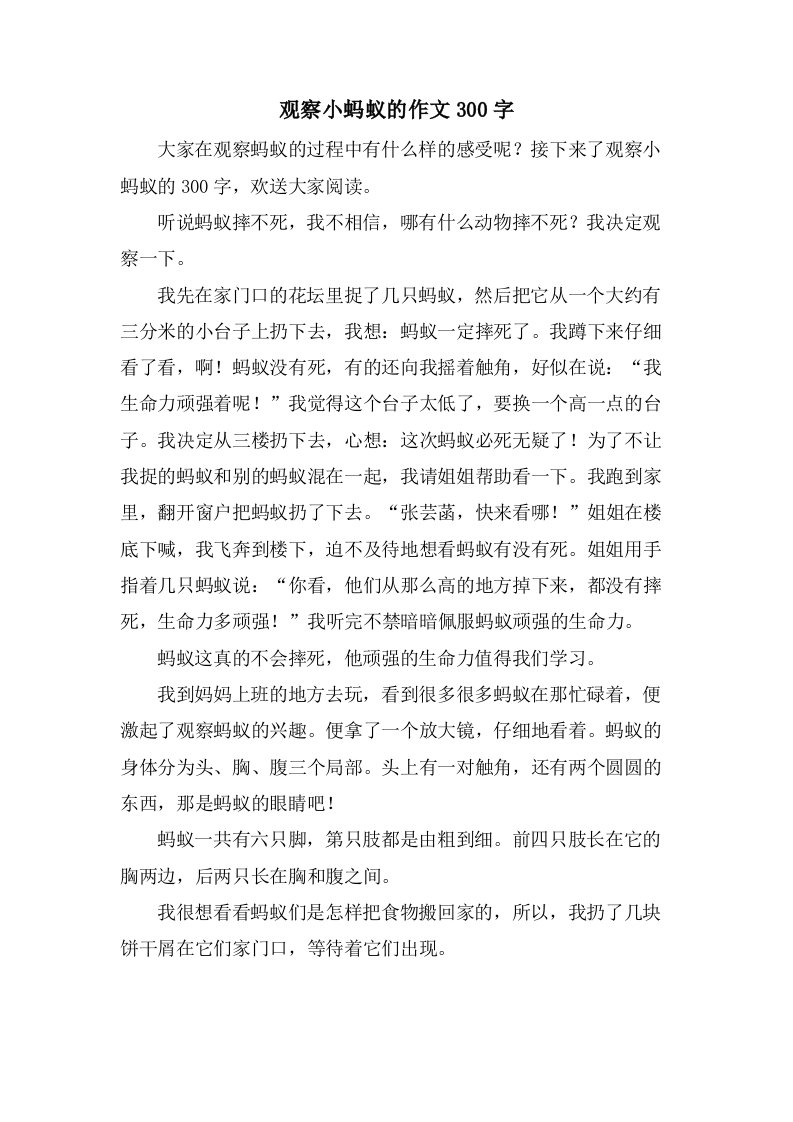 观察小蚂蚁的作文300字