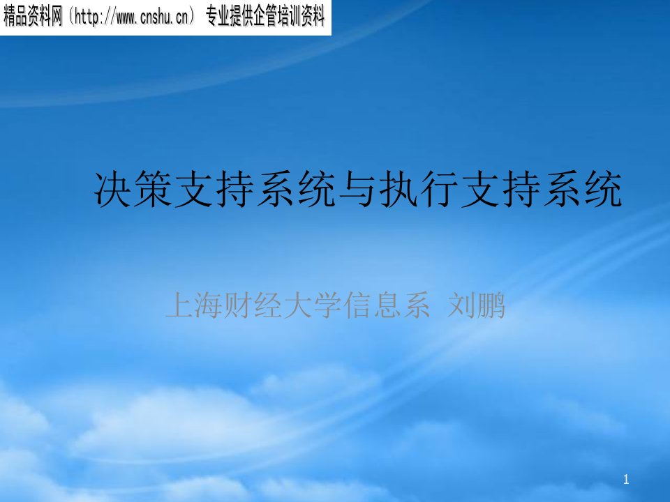 决策支持系统与执行支持系统分析