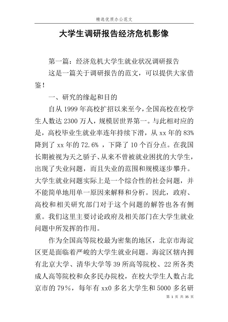 大学生调研报告经济危机影像范文