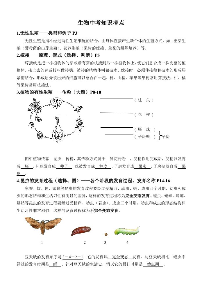 生物中考知识考点