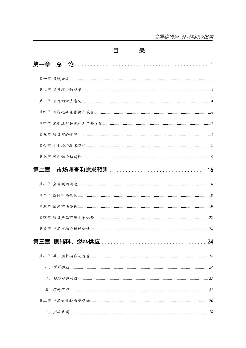 某公司金属镁系列产品开发项目可行性研究报告