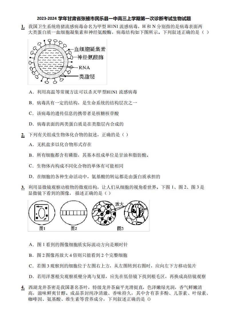 2023-2024学年甘肃省张掖市民乐县一中高三上学期第一次诊断考试生物试题