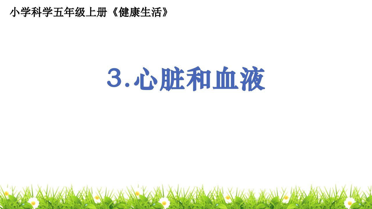 教科版人小学科学五年级上册《心脏和血液》ppt课件