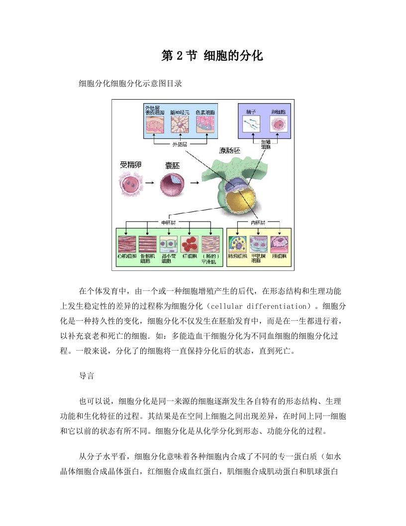 2017高中生物第四章细胞的增殖与分化4.2细胞的分化(2)素材浙科版1解析