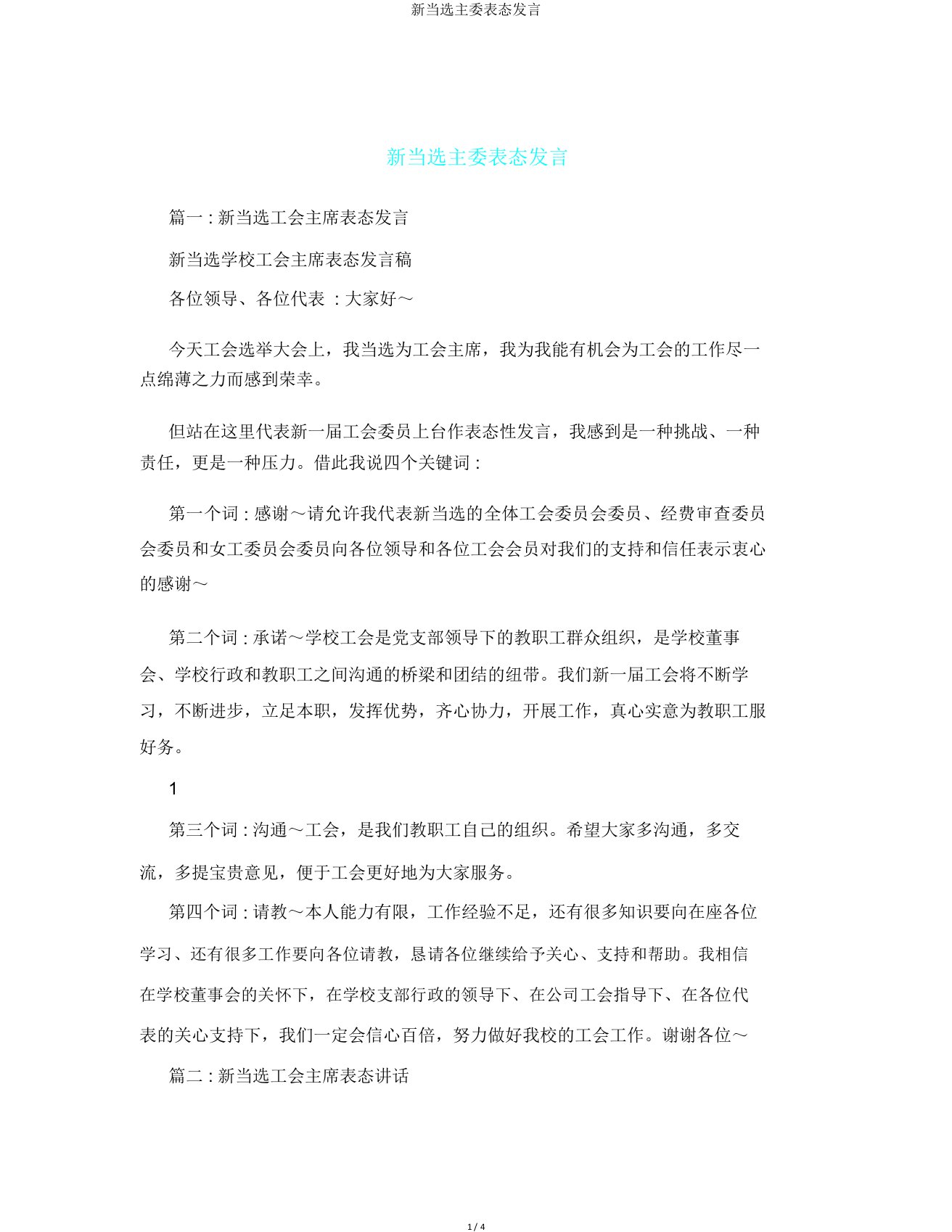 新当选主委表态发言