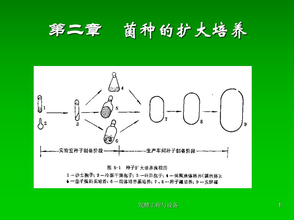 发酵工程与设备课件