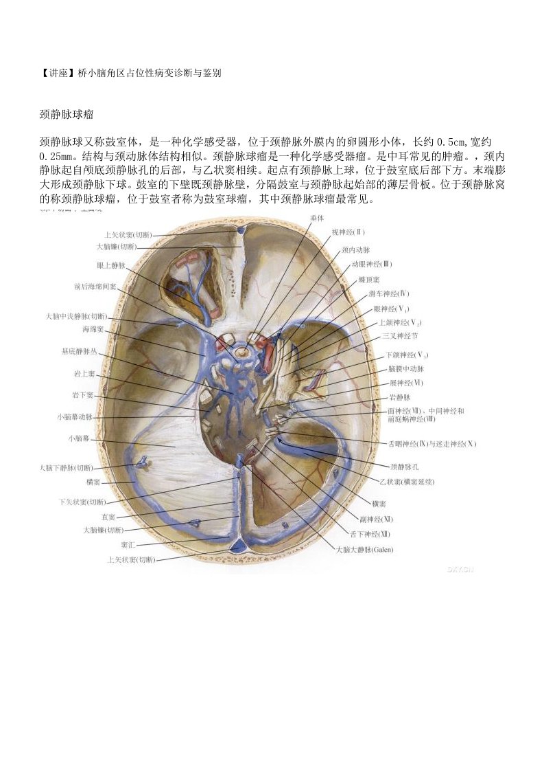 桥小脑角占位性病变诊断与鉴别