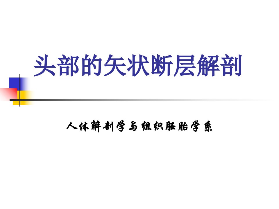 头部的矢状断层解剖