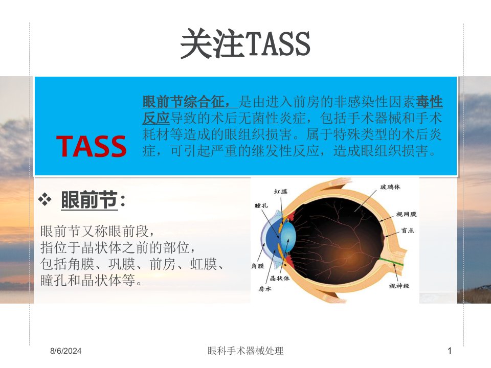 眼科手术器械处理培训ppt课件