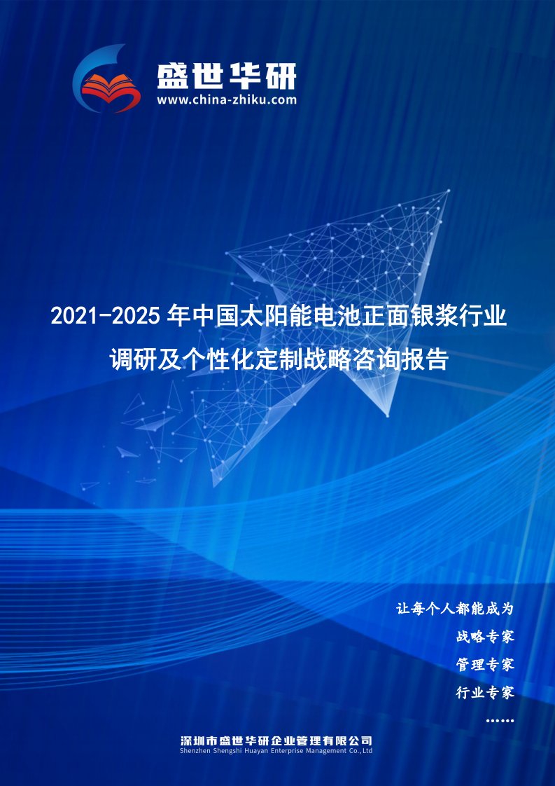 2021-2025年中国太阳能电池正面银浆行业调研及个性化定制战略咨询报告