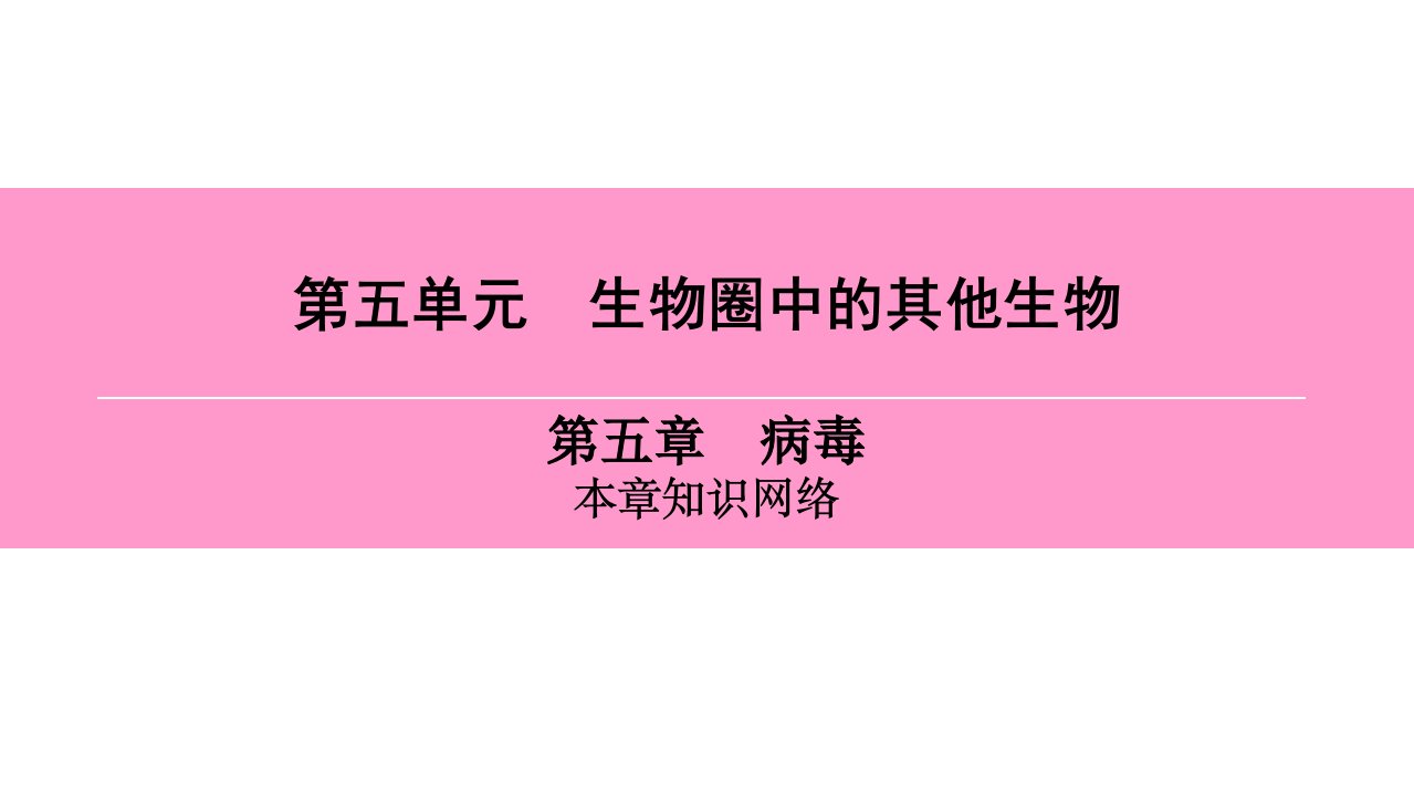 人教版八年级生物上册ppt课件第五单元第五章病毒本章知识网络
