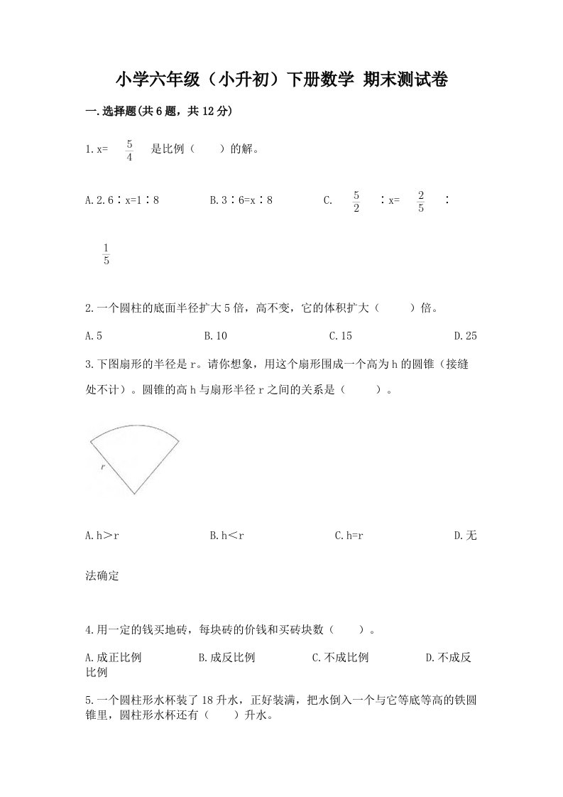 小学六年级（小升初）下册数学