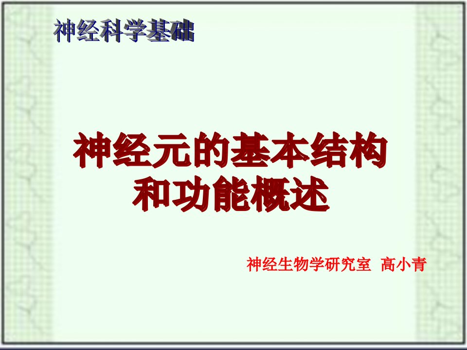 神经元的基本结构和功能概述