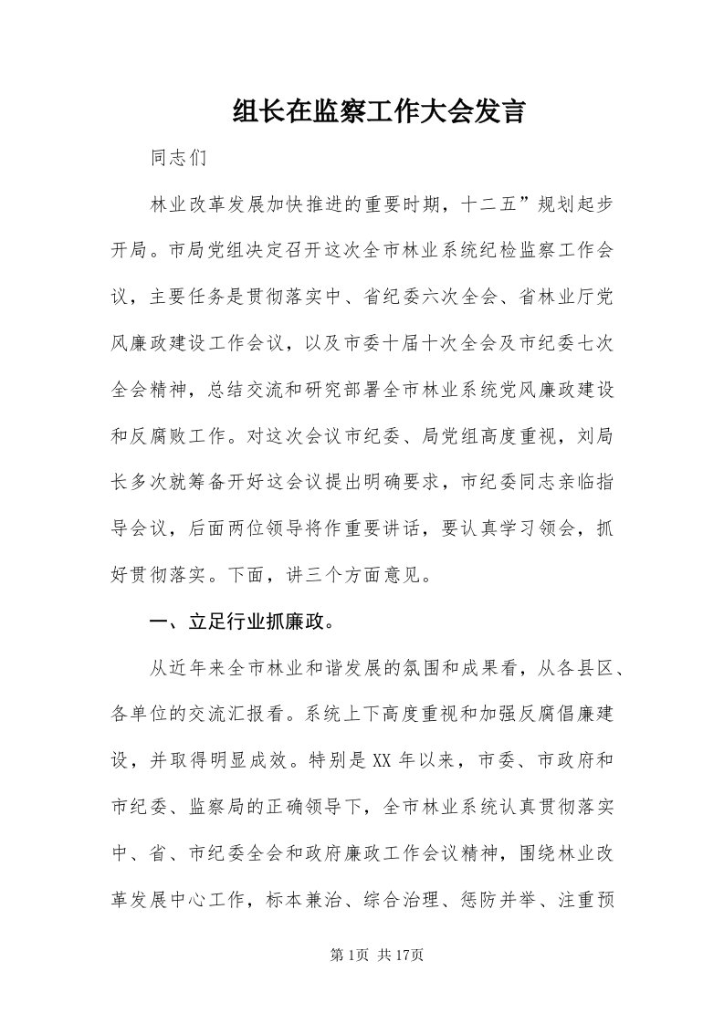 8组长在监察工作大会讲话