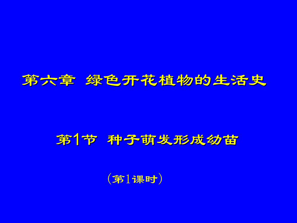 种子萌发形成幼苗课件