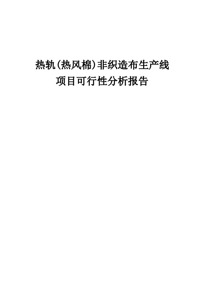 2024年热轨(热风棉)非织造布生产线项目可行性分析报告