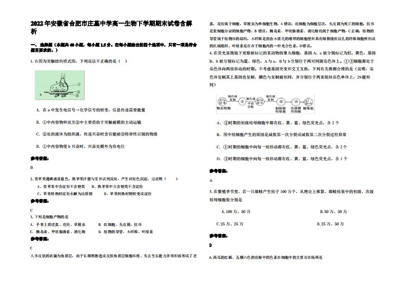 2022年安徽省合肥市庄墓中学高一生物下学期期末试卷含解析