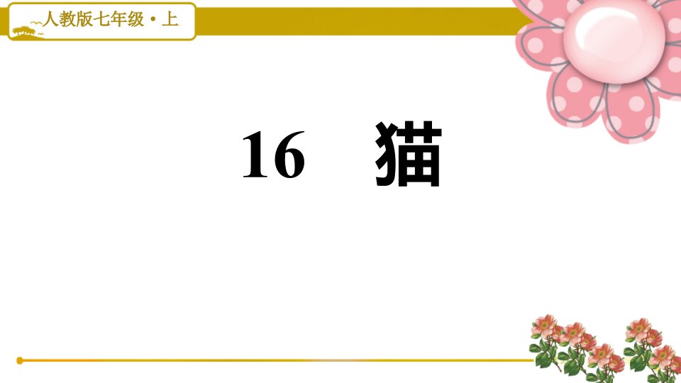 七年级语文上册《猫》习题ppt课件(人教部编版)