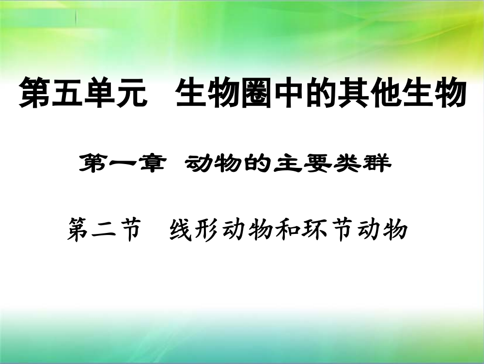 ㈢合作探究点拨升华探究点一线形动物秀丽隐杆线虫