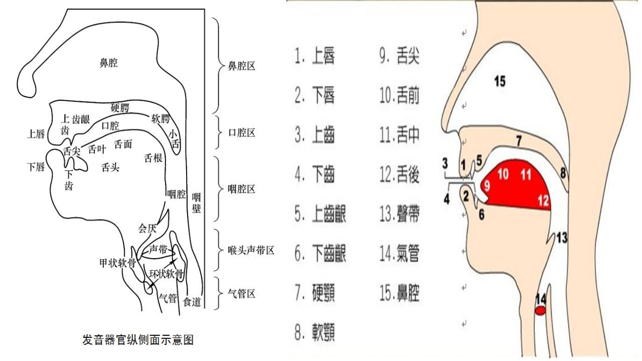 对外汉语教学第一课第二课第三课