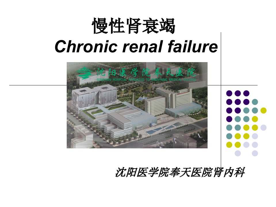 慢性肾衰竭肾内科课件