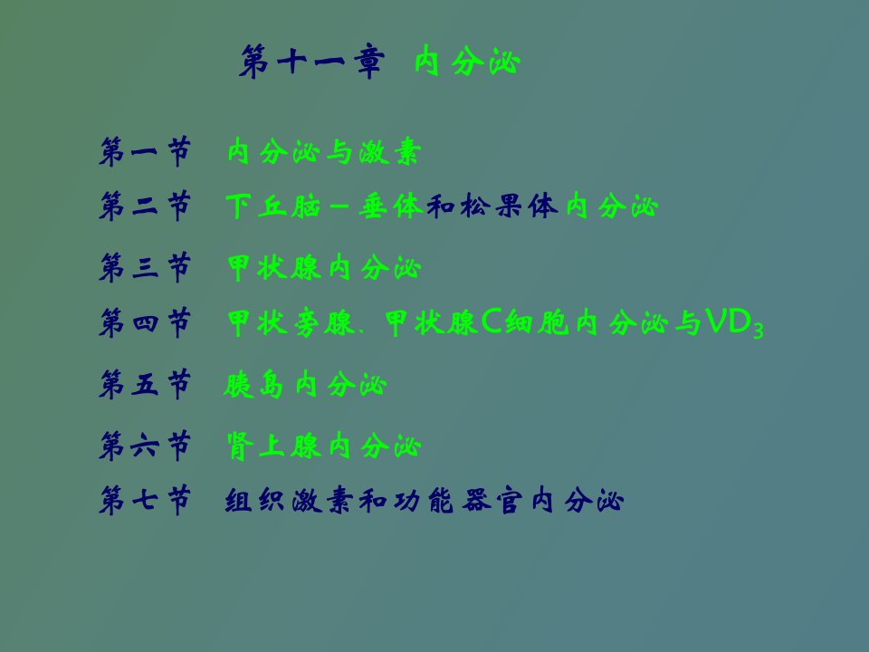 内分泌系统南华大学