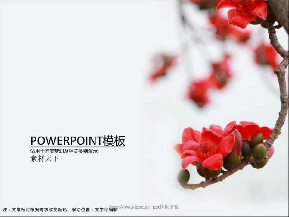 木棉花PPT模板.ppt