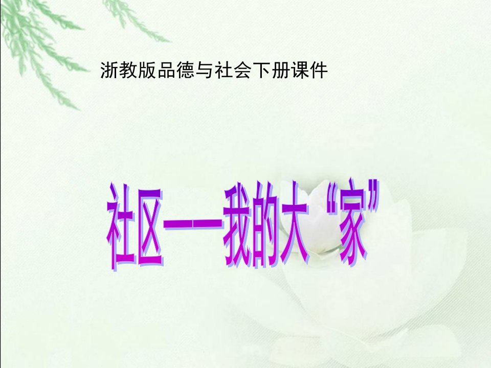 《社区——我的大“家”》-浙教版小学品德与社会三年级下册