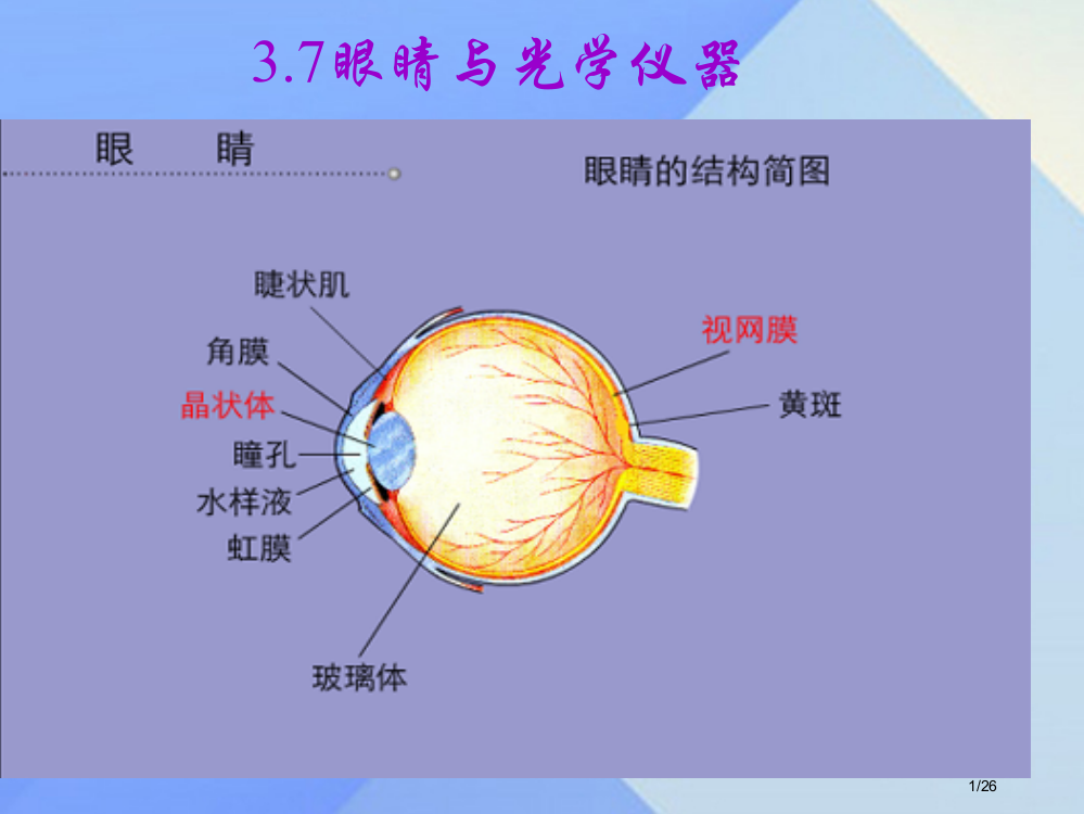 八年级物理上册3.7眼睛与光学仪器省公开课一等奖新名师优质课获奖PPT课件