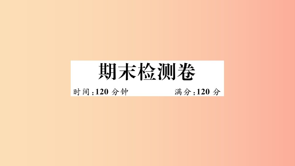 （湖北专用）2019春九年级数学下册