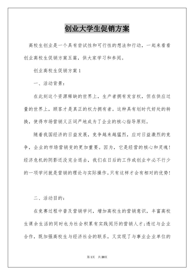 创业大学生促销方案