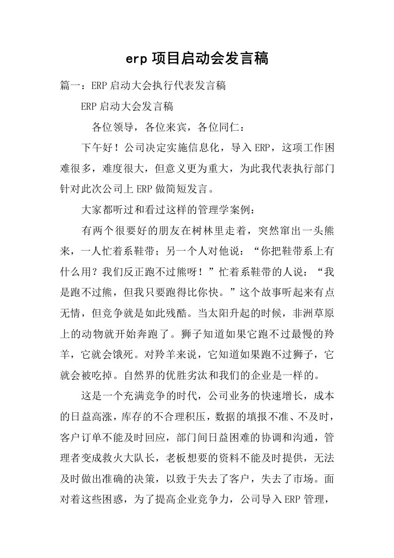 erp项目启动会发言稿