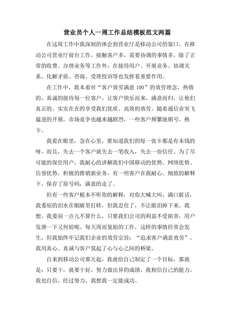 营业员个人一周工作总结模板范文两篇