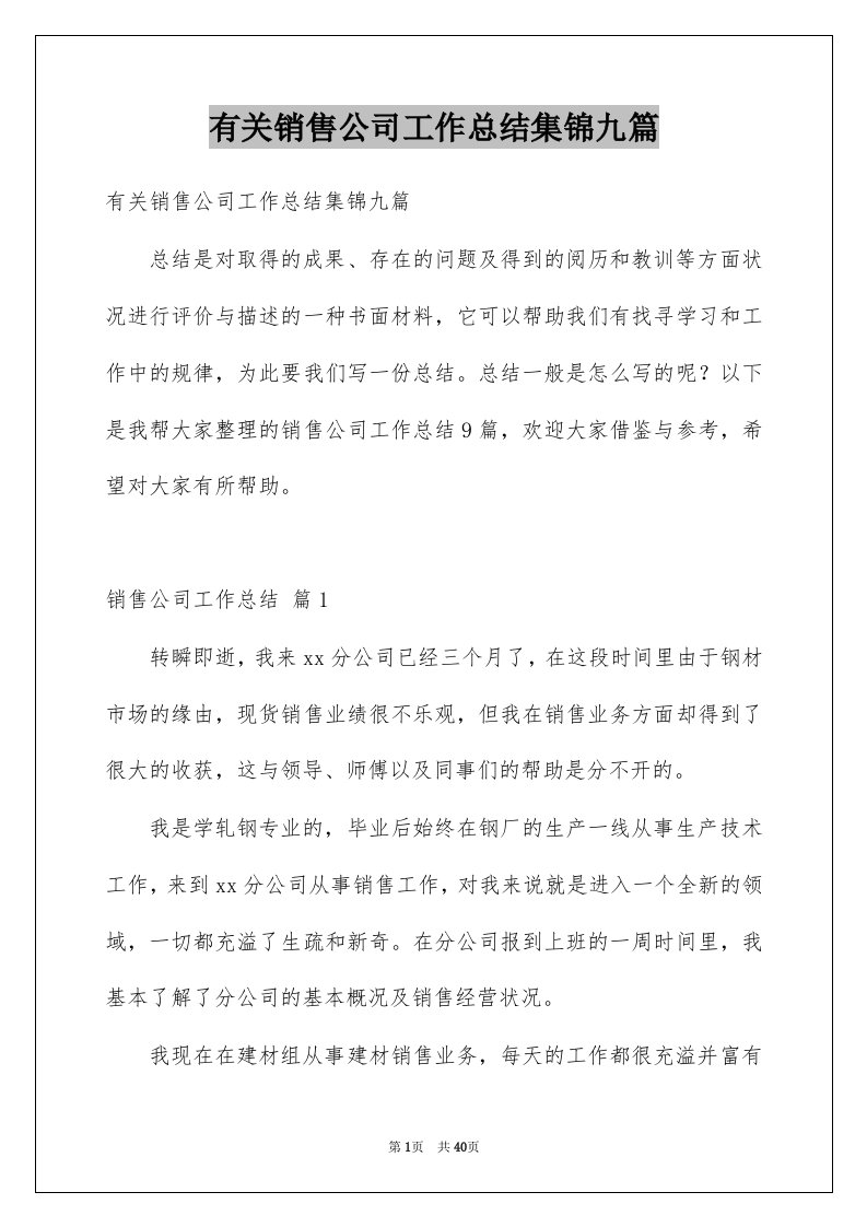 有关销售公司工作总结集锦九篇