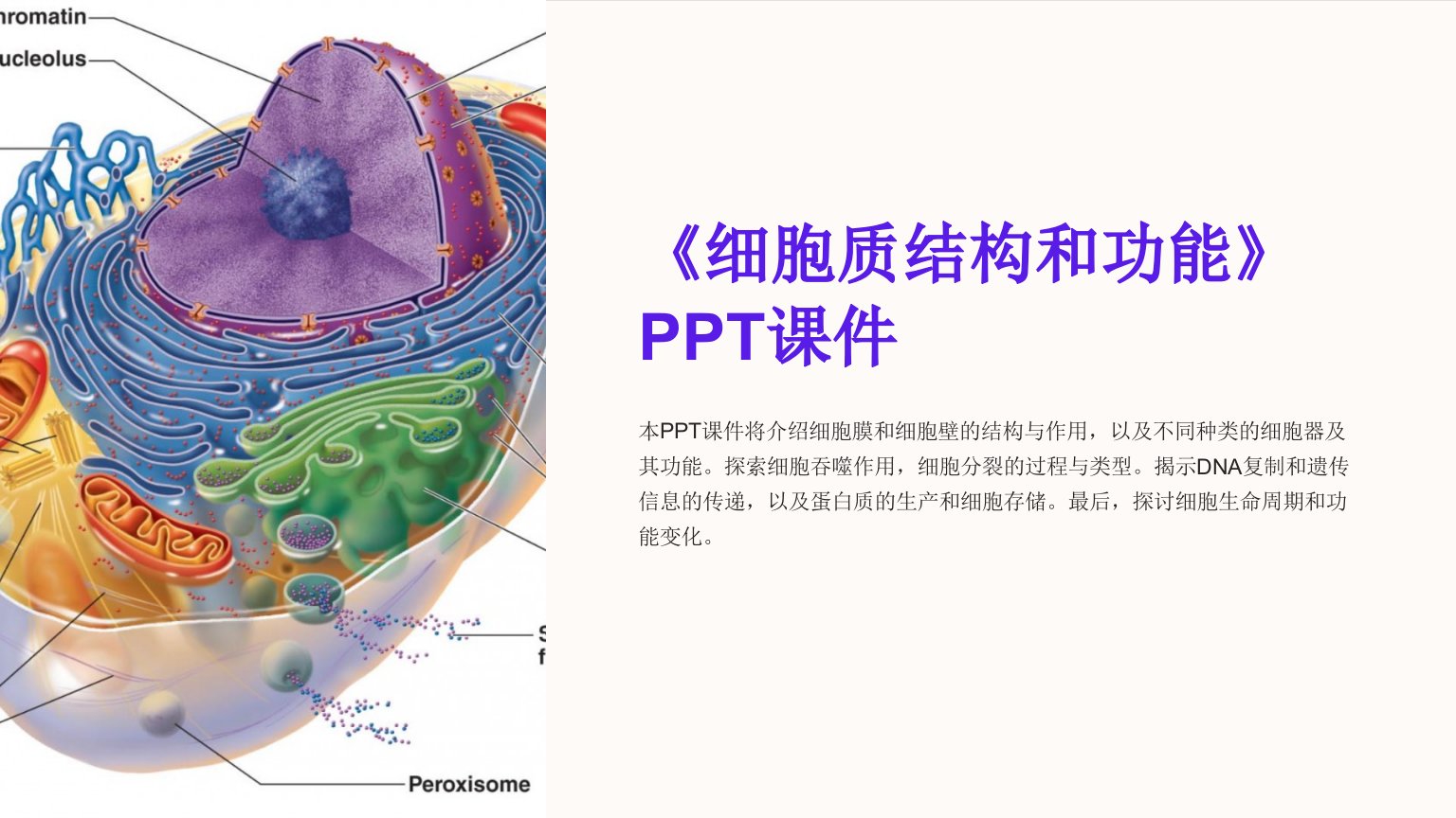 《细胞质结构和功能》课件