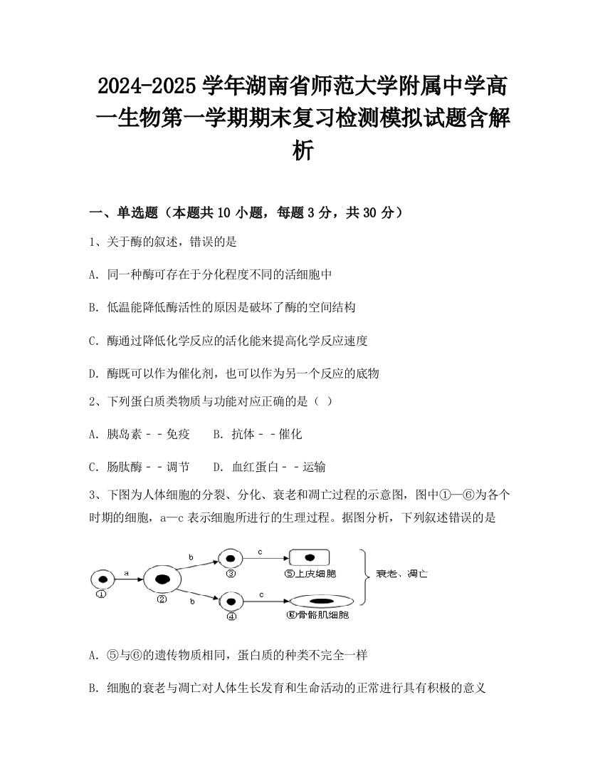 2024-2025学年湖南省师范大学附属中学高一生物第一学期期末复习检测模拟试题含解析